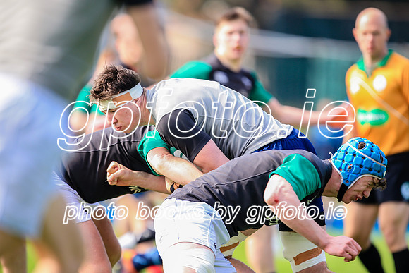 07-04-2019-SWYL0396.JPG