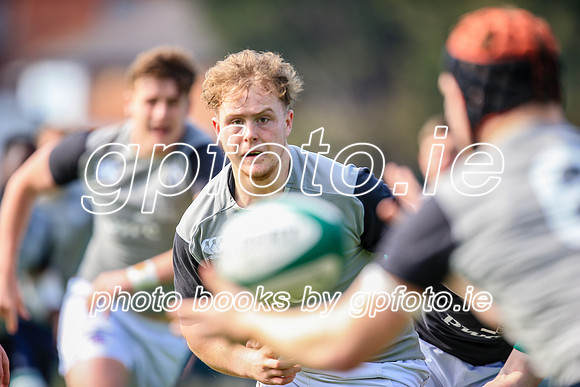 07-04-2019-SWYL0387.JPG