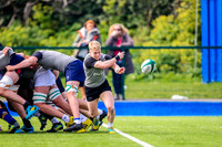 07-04-2019-SWYL0485.JPG