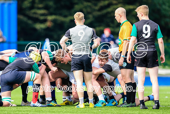 07-04-2019-SWYL0504.JPG