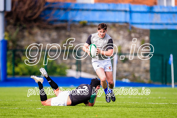 07-04-2019-SWYL0516.JPG