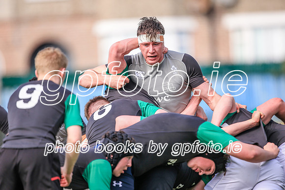 07-04-2019-SWYL0591.JPG