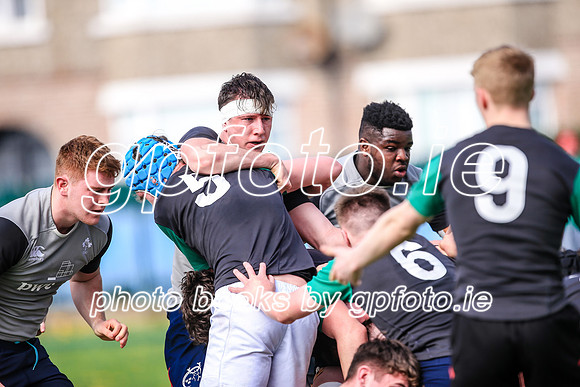 07-04-2019-SWYL0593.JPG