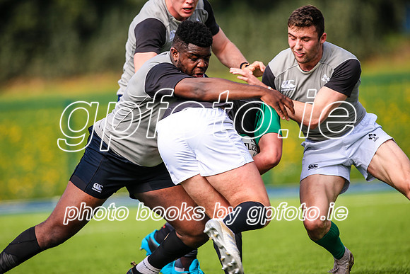 07-04-2019-SWYL0595.JPG