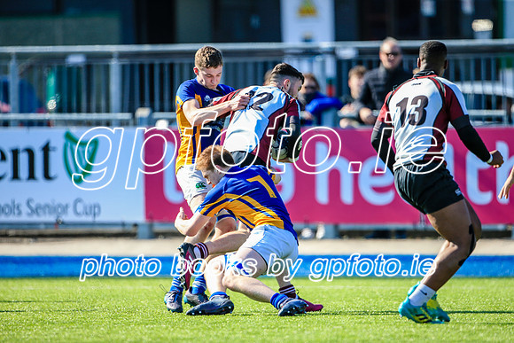 10-04-2019-CGJ27008.JPG