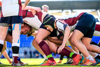 10-04-2019-SWYL1374.JPG