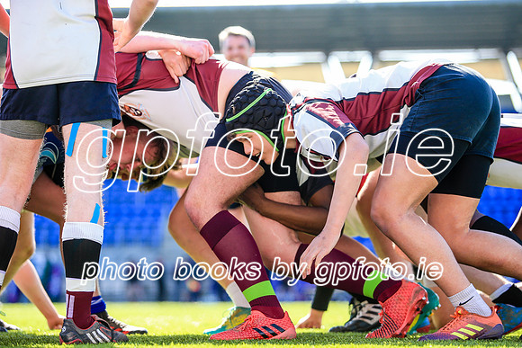 10-04-2019-SWYL1374.JPG