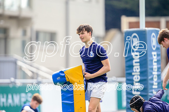11-04-2019-CGJ27829.JPG