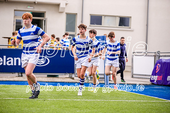 11-04-2019-SWYL1814.JPG