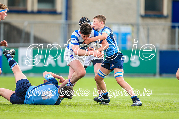 11-04-2019-CGJ28139.JPG