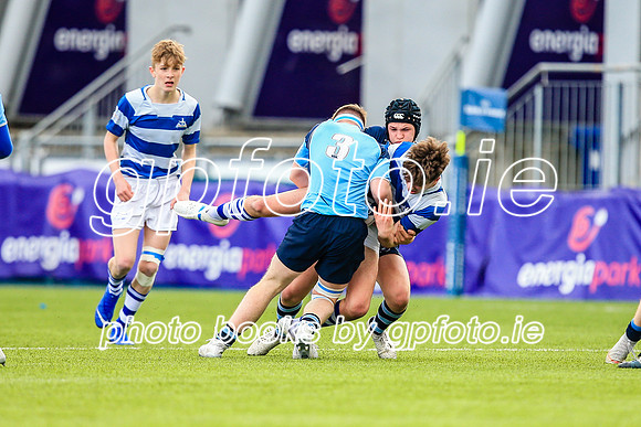 11-04-2019-CGJ28177.JPG