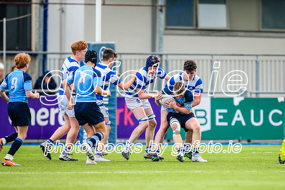 11-04-2019-CGJ28200.JPG