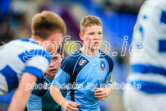 11-04-2019-CGJ28205.JPG