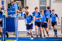 11-04-2019-SWYL1833.JPG