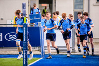 11-04-2019-SWYL1834.JPG