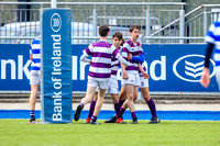 11-04-2019-CGJ27533.JPG