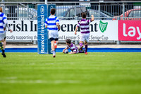 11-04-2019-CGJ27531.JPG