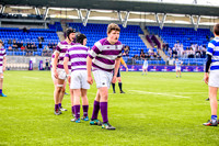 11-04-2019-SWYL1647.JPG