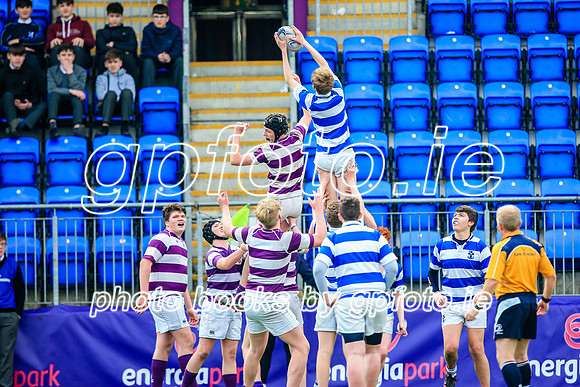11-04-2019-CGJ27509.JPG