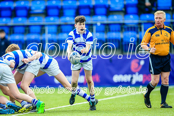 11-04-2019-CGJ27521.JPG