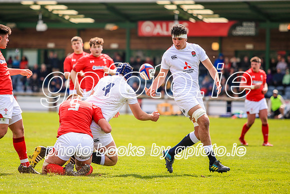 13-04-2019-SWYL2182.JPG
