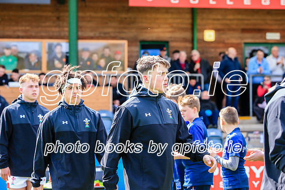 13-04-2019-SWYL2076.JPG