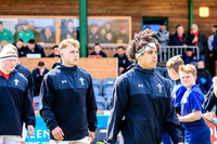 13-04-2019-SWYL2078.JPG