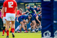 17-04-2019-CGJ25682.JPG