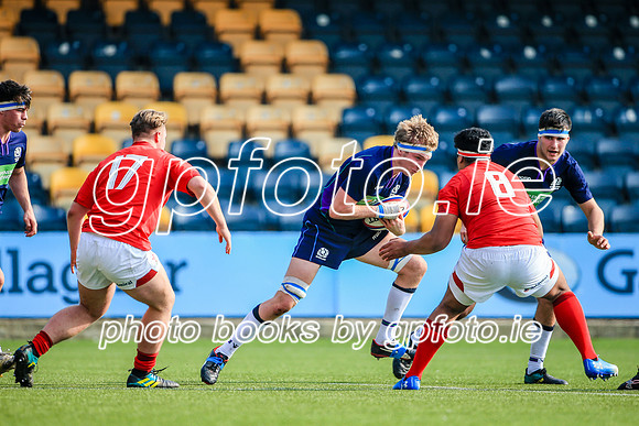 17-04-2019-CGJ25704.JPG
