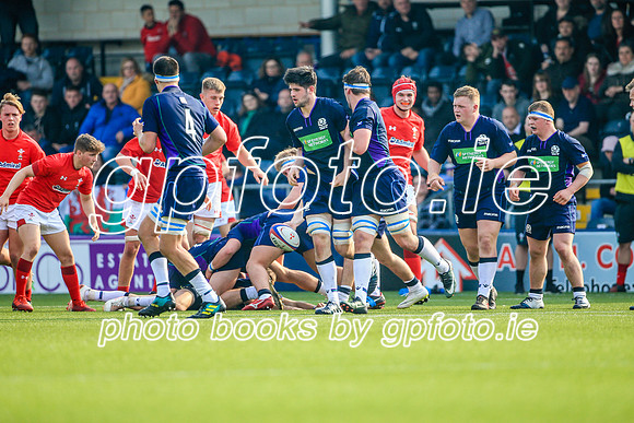 17-04-2019-CGJ25795.JPG