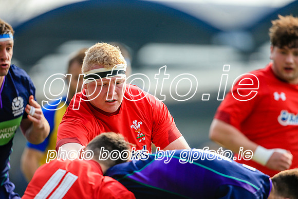 17-04-2019-CGJ25209.JPG