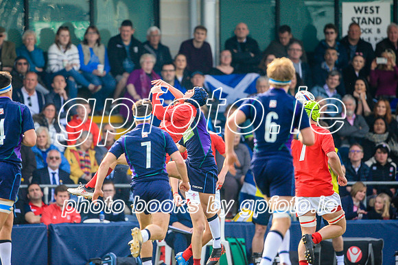 17-04-2019-CGJ25284.JPG