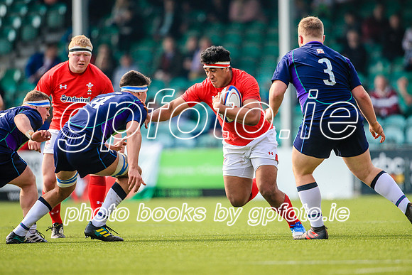 17-04-2019-CGJ25303.JPG
