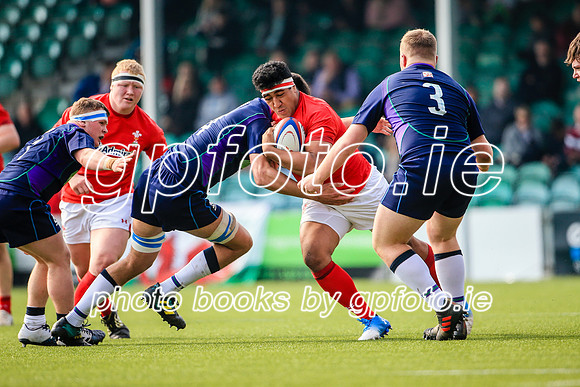17-04-2019-CGJ25305.JPG