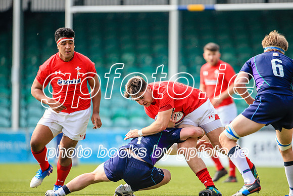 17-04-2019-CGJ25319.JPG