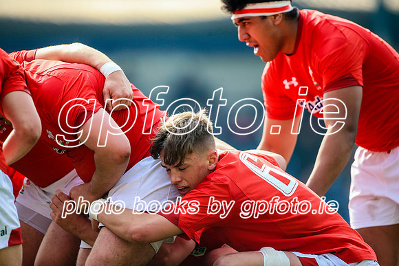 17-04-2019-CGJ25398.JPG