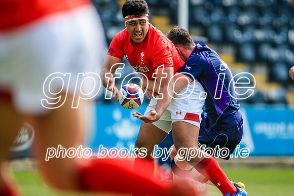 17-04-2019-CGJ25381.JPG