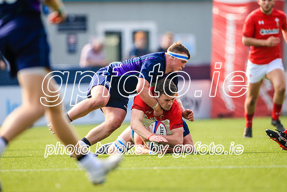 17-04-2019-CGJ25451.JPG