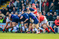 17-04-2019-CGJ25791.JPG