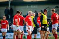 17-04-2019-CGJ25848.JPG