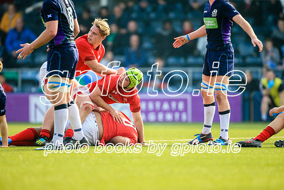 17-04-2019-CGJ26000.JPG