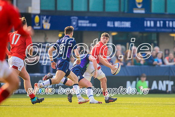 17-04-2019-CGJ26105.JPG