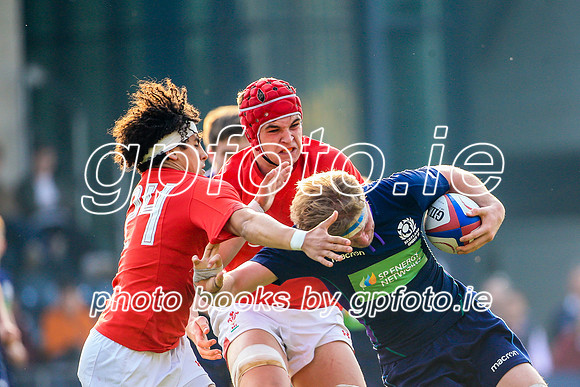 17-04-2019-CGJ26236.JPG