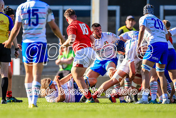 21-04-2019-SWYL7536.JPG
