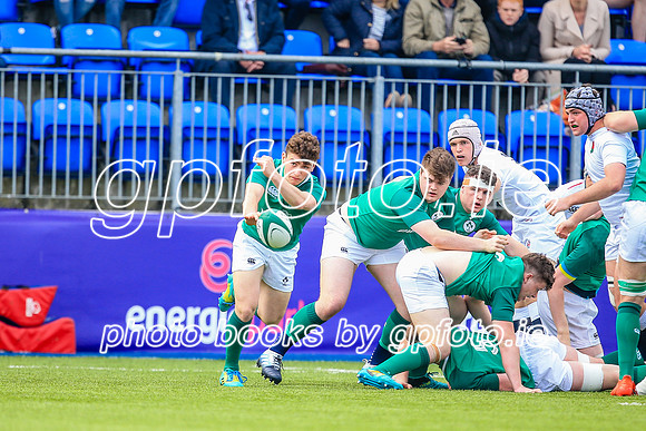 24-04-2019-SWYL7785.JPG