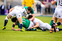 24-04-2019-SWYL8313.JPG