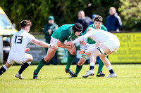 27-04-2019-SWYL1031.JPG