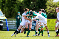 27-04-2019-SWYL1034.JPG