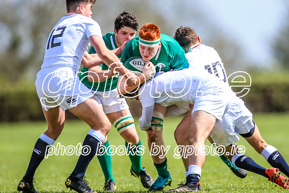 27-04-2019-SWYL1049.JPG