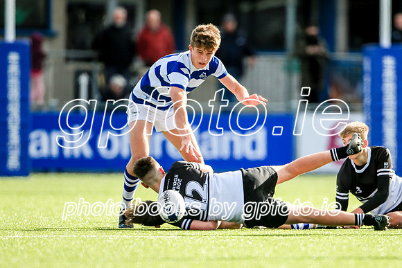 22-10-2021-SWYL3931